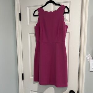 LOFT Fuchsia Scallop Neck Mini Dress